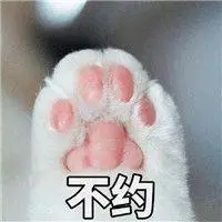 golden hoyeah slot Kucing Feifei mencapai urutan kesembilan setelah mengambil Tianyuandan